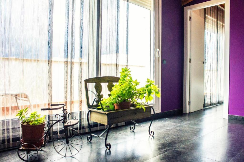 Apartamento Con Estilo Y Acogedor Sant Mateu Exterior photo